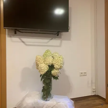 Schilcherland-apartment 아파트