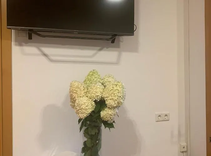 Schilcherland-apartment Apartment